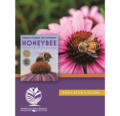 Honeybee Educator's Guide